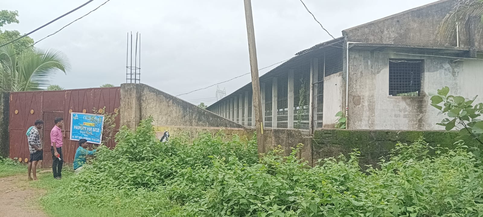 POULTRY FIRM for Sale in SONEPUR, Sonapur
