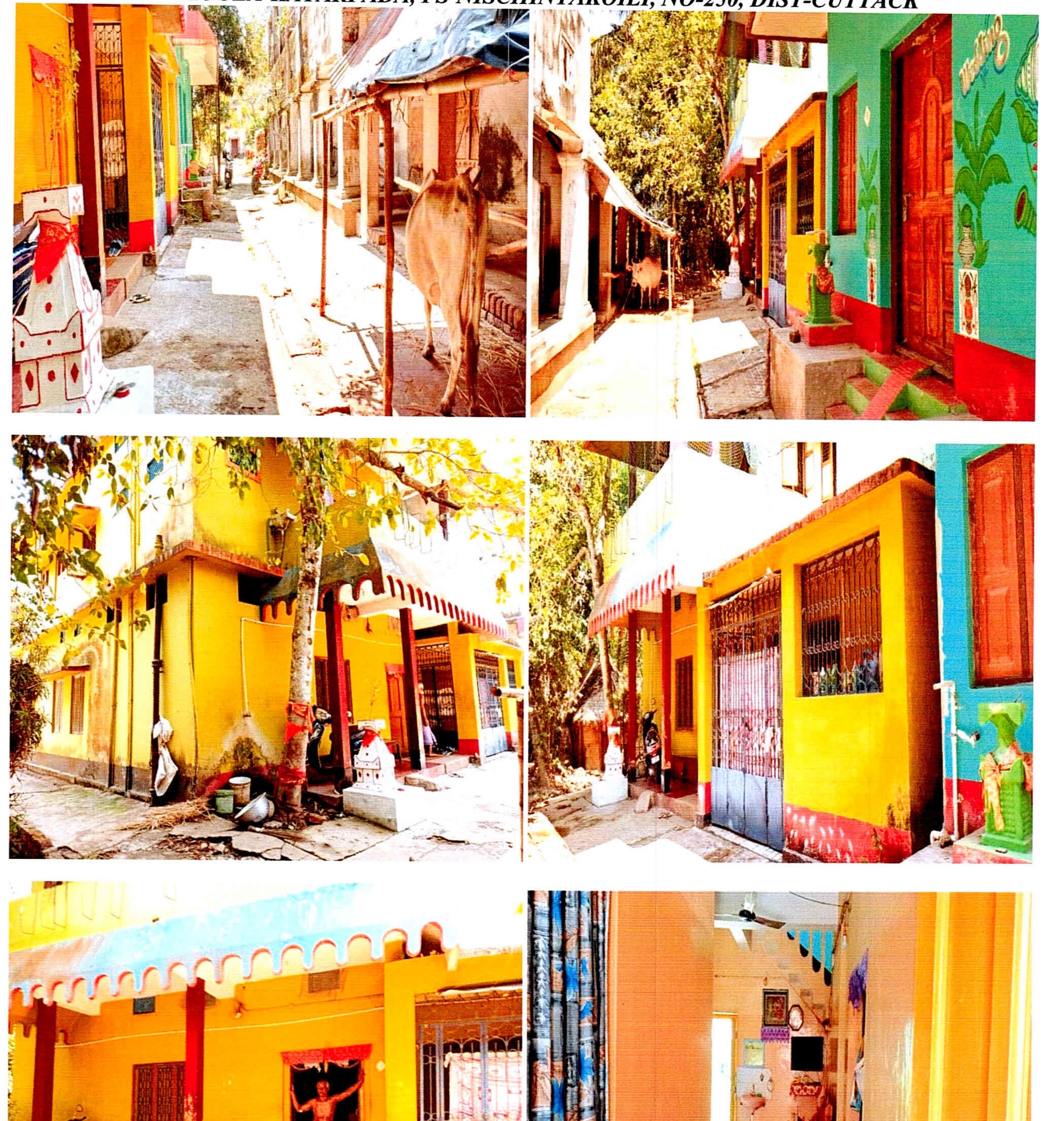 Individual House for Sale in KATARPADA, NISCHINTKOILI, Cuttack