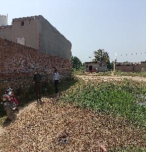 Plot for Sale in Kotkapura