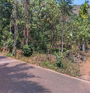 Plot for Sale in Kavana Road,Kadalikkad,Thekkumala, Thodupuzha, Vazhakulam