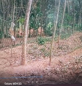 Individual House for Sale in Anavoor Village, Neyyattinkara Taluk, Thiruvananthapuram District, Neyyattinkara