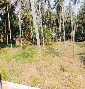 Plot for Sale in Chengala