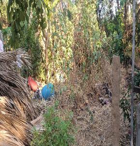 Plot for Sale in Gejjalagere Industrial Area