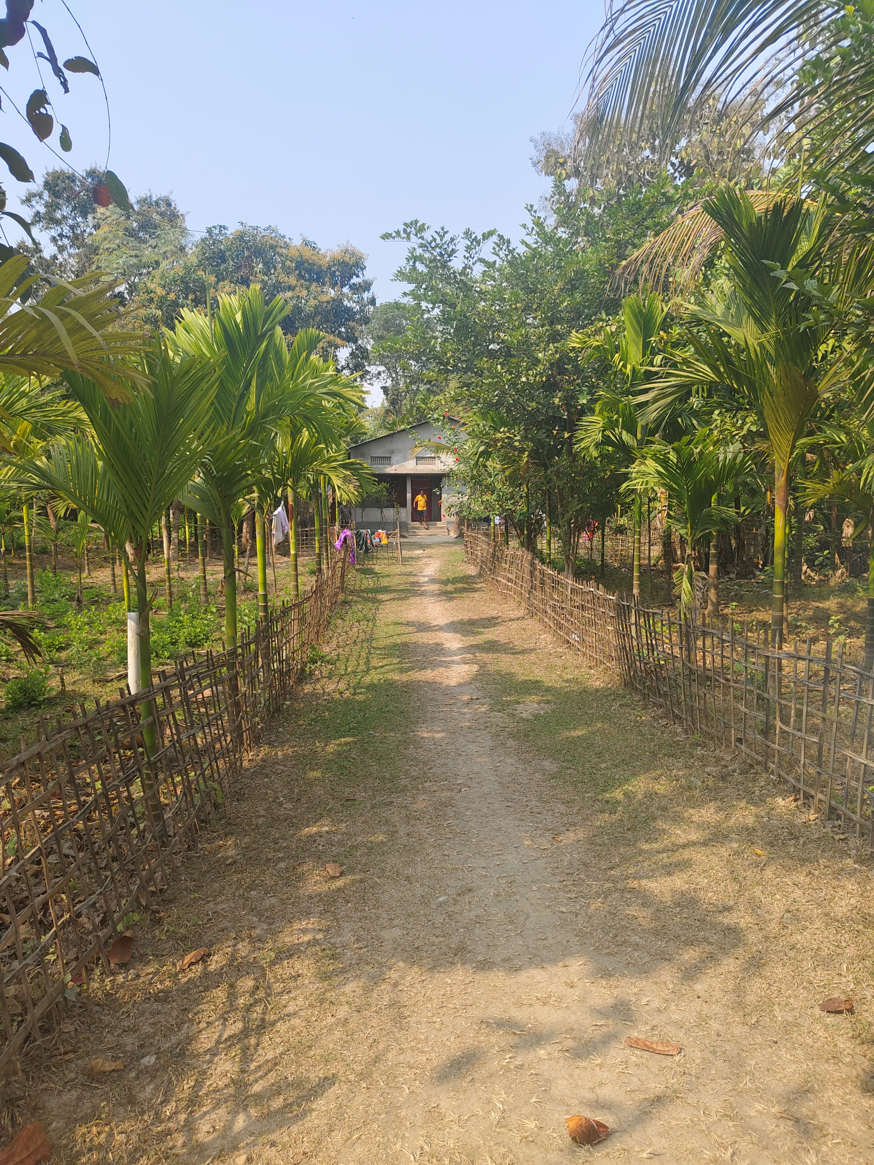 Individual House for Sale in Lanka