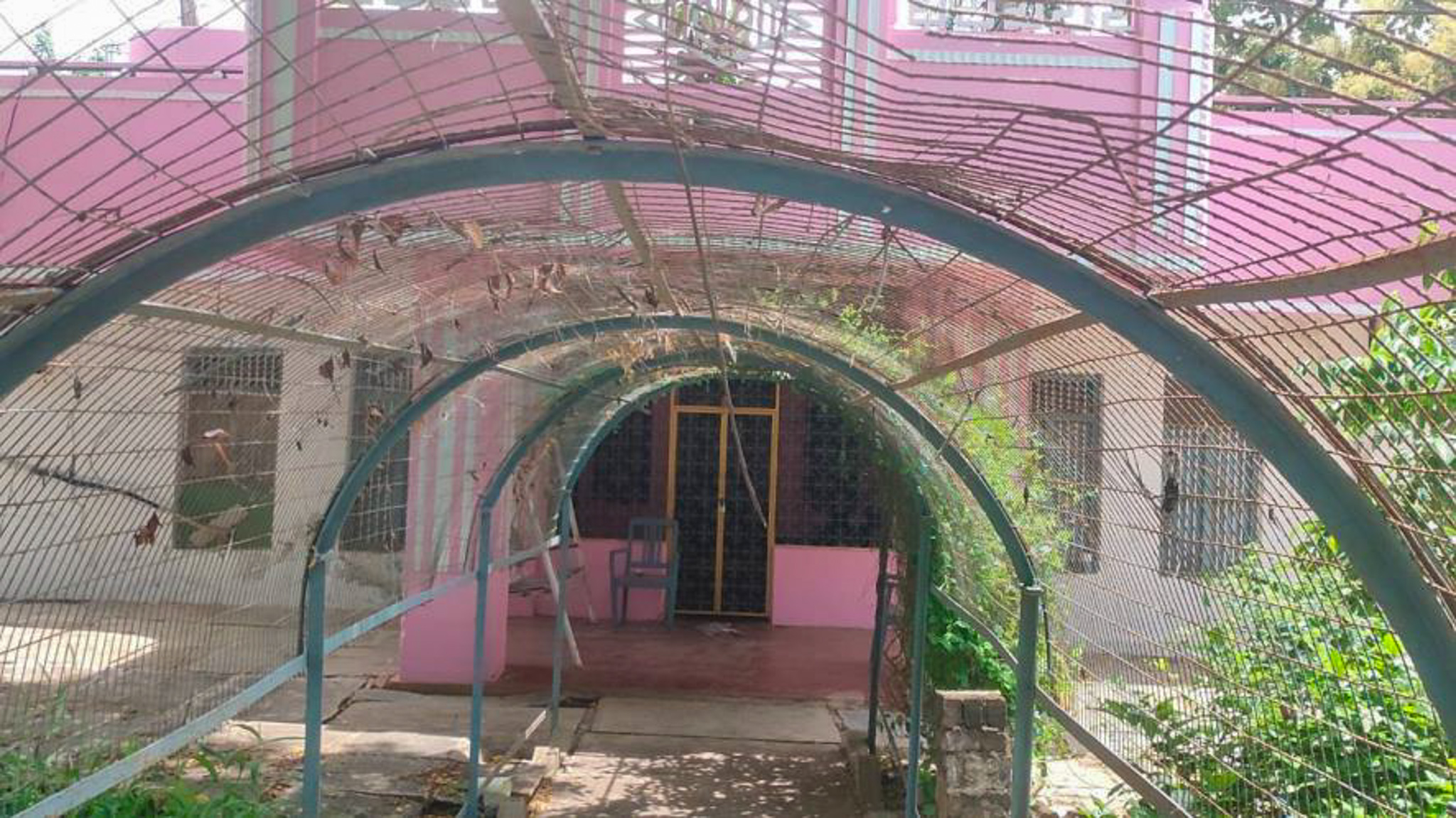 Individual House for Sale in Pothunuru, Denduluru