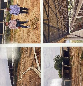 Agriculture Land for Sale in Jind