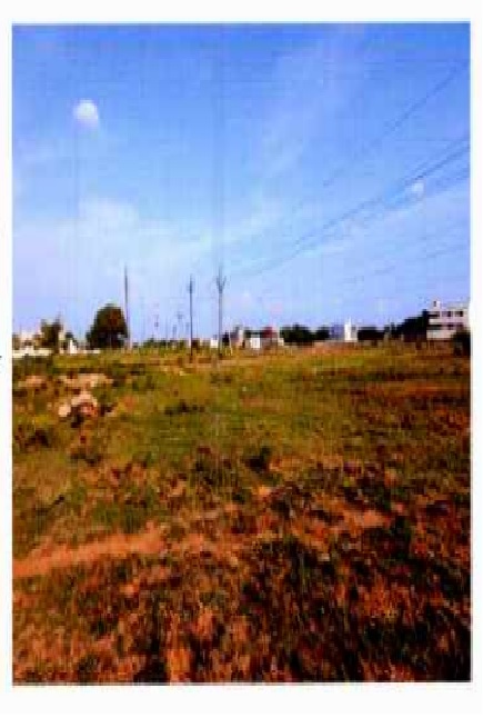 vacant plot for Sale in Nellore