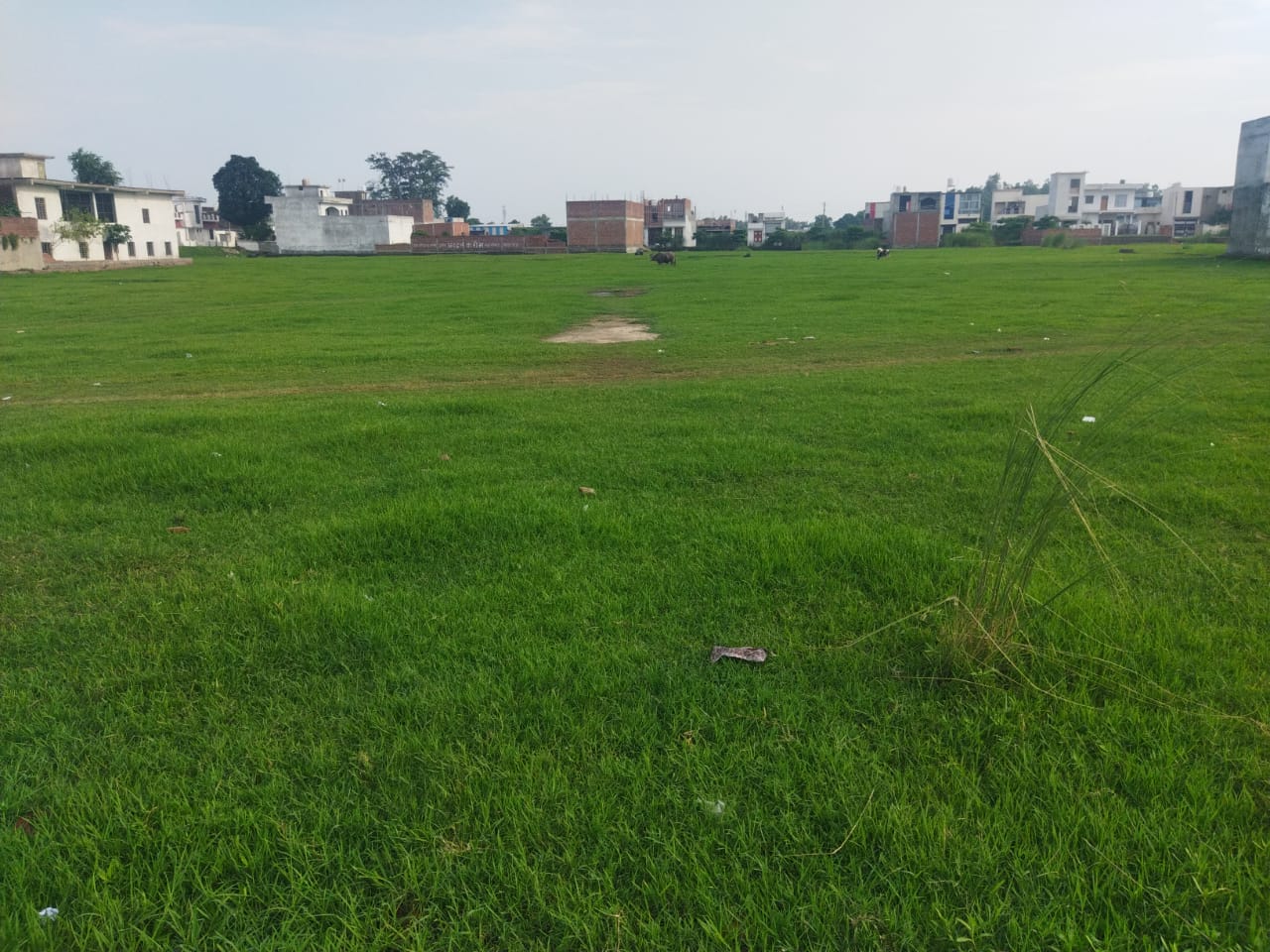 Plot for Sale in ESIPL Sitarganj