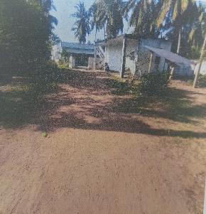 Individual House for Sale in Kasibugga Srikakulam, Srikakulam