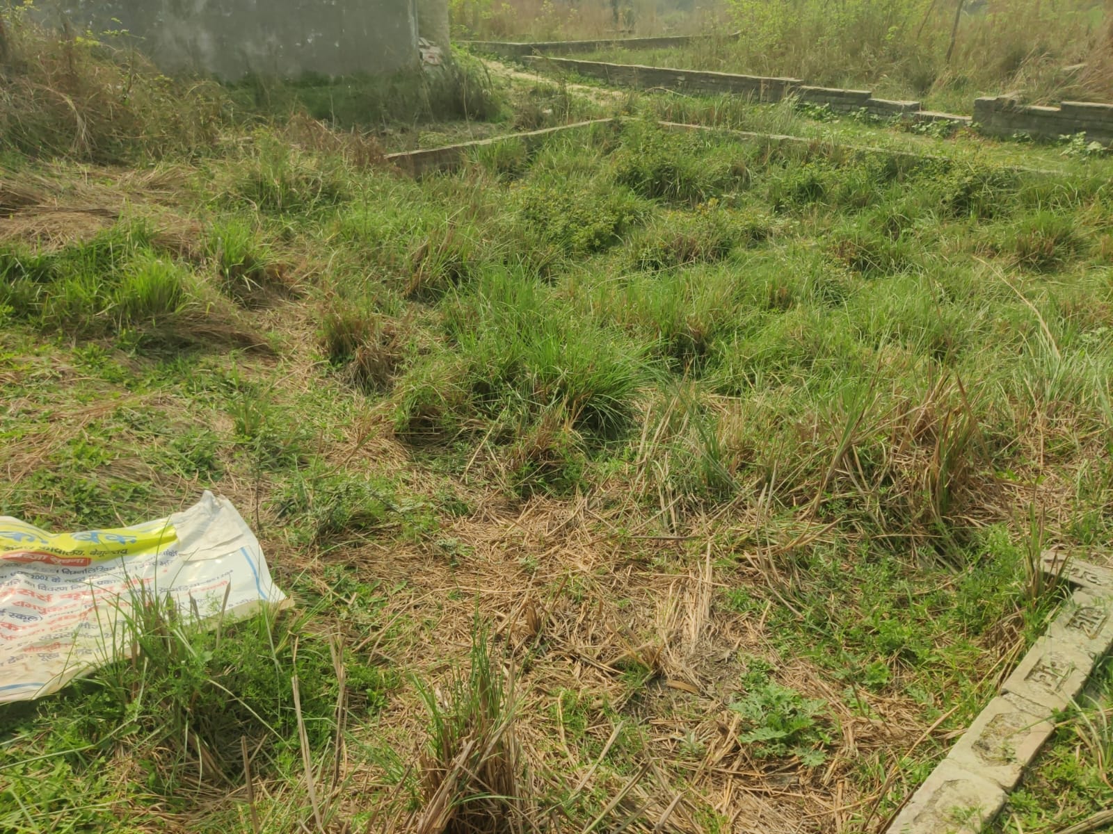 Plot for Sale in AT-SANUHAL(NEAR ROSE BIRD SCHOOL) PO-SANAUHALI PS-CHITRGUPT NAGAR KHAGARIA PIN 851204, Khagaria