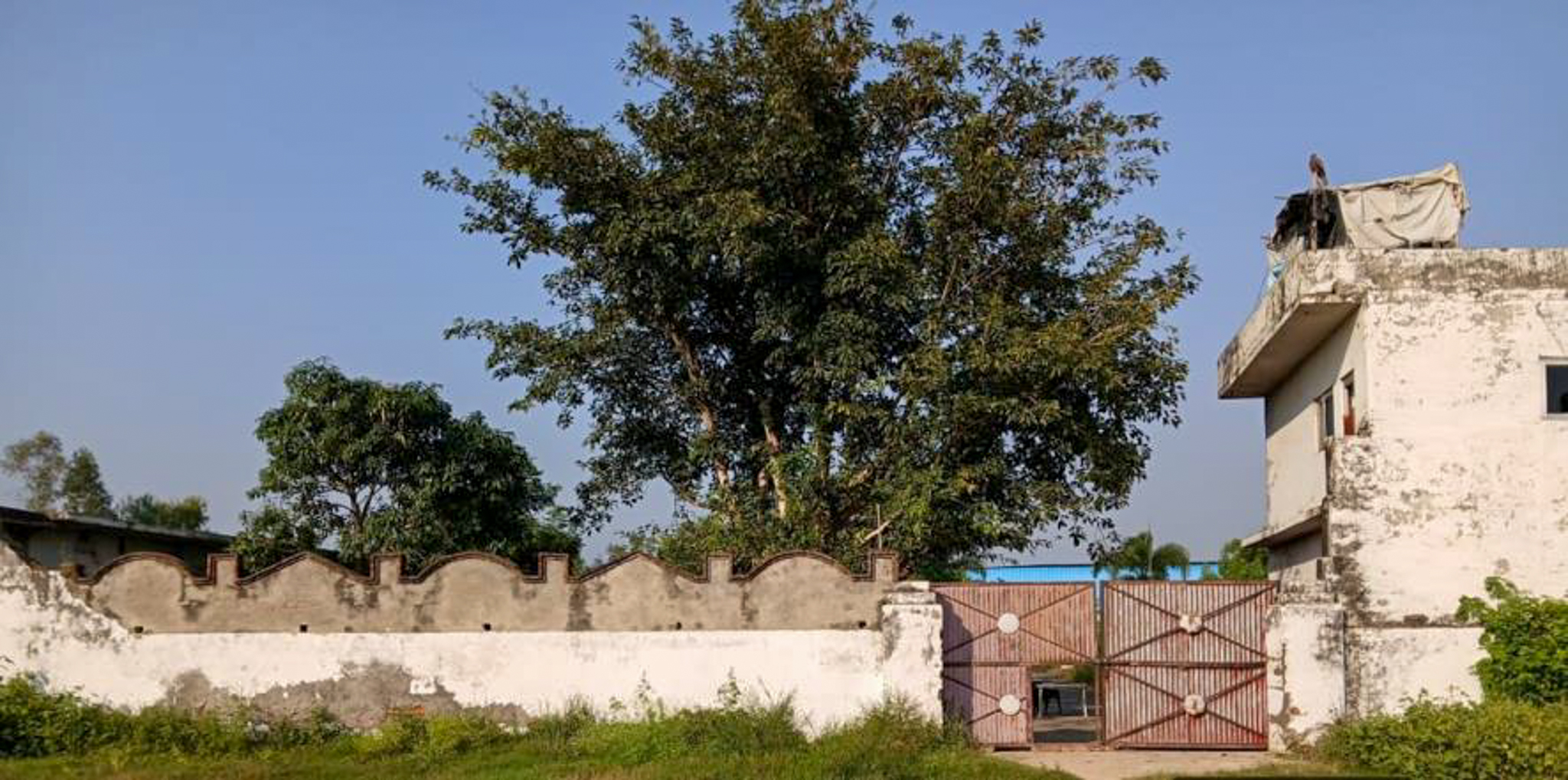 Industrial Shed for Sale in Barwara Mazra