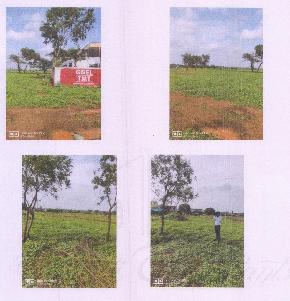 Plot for Sale in Bhikangaon