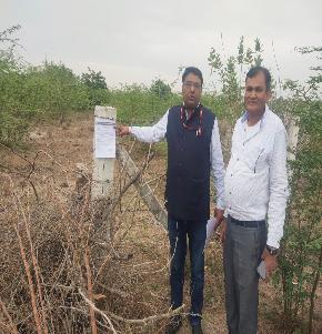 Plot for Sale in Pali
