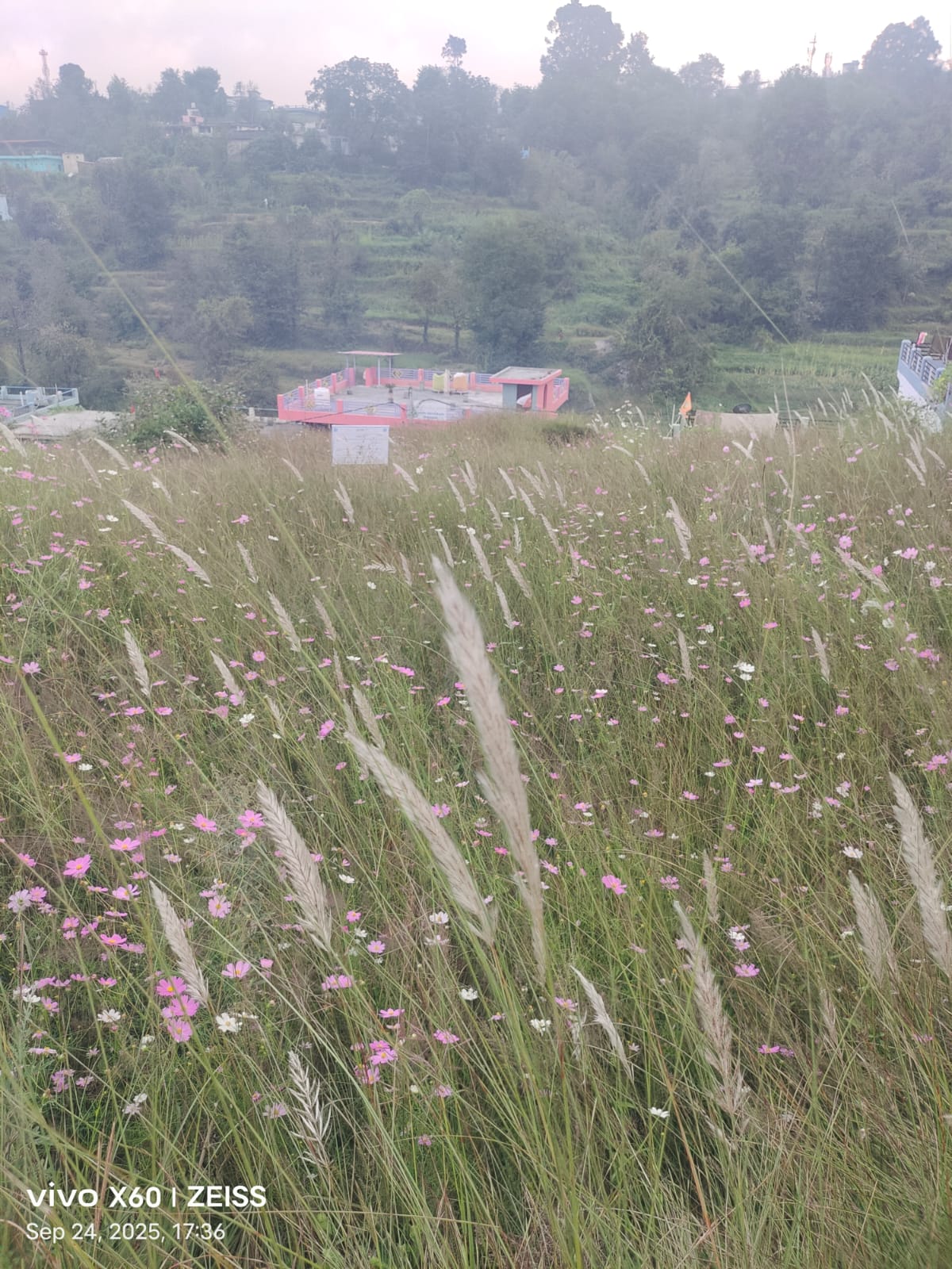 Plot for Sale in PUNETHI CHAMPAWAT UTTARAKHAND, Champawat