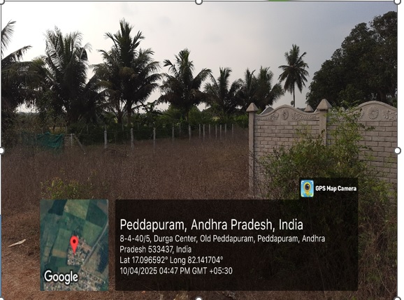 Plot for Sale in PEDDAPURAM, Peddapuram