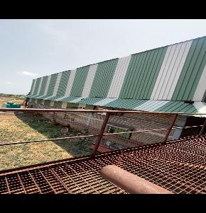 Industrial Plot with Factory Building for Sale in Udagatti Village, Bagalkot, Udagatti