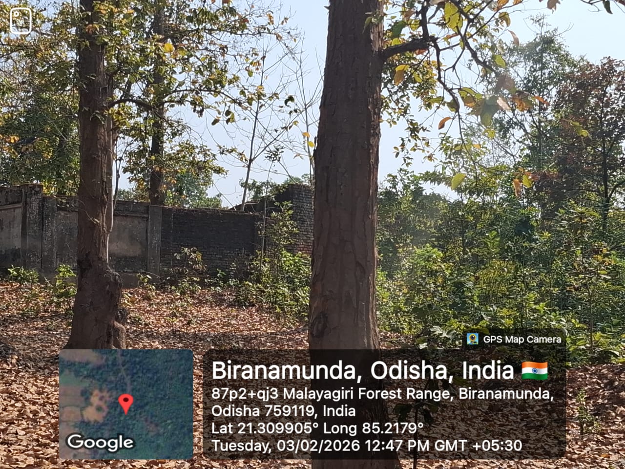 Industrial Plot for Sale in ANGUL, Palalahada
