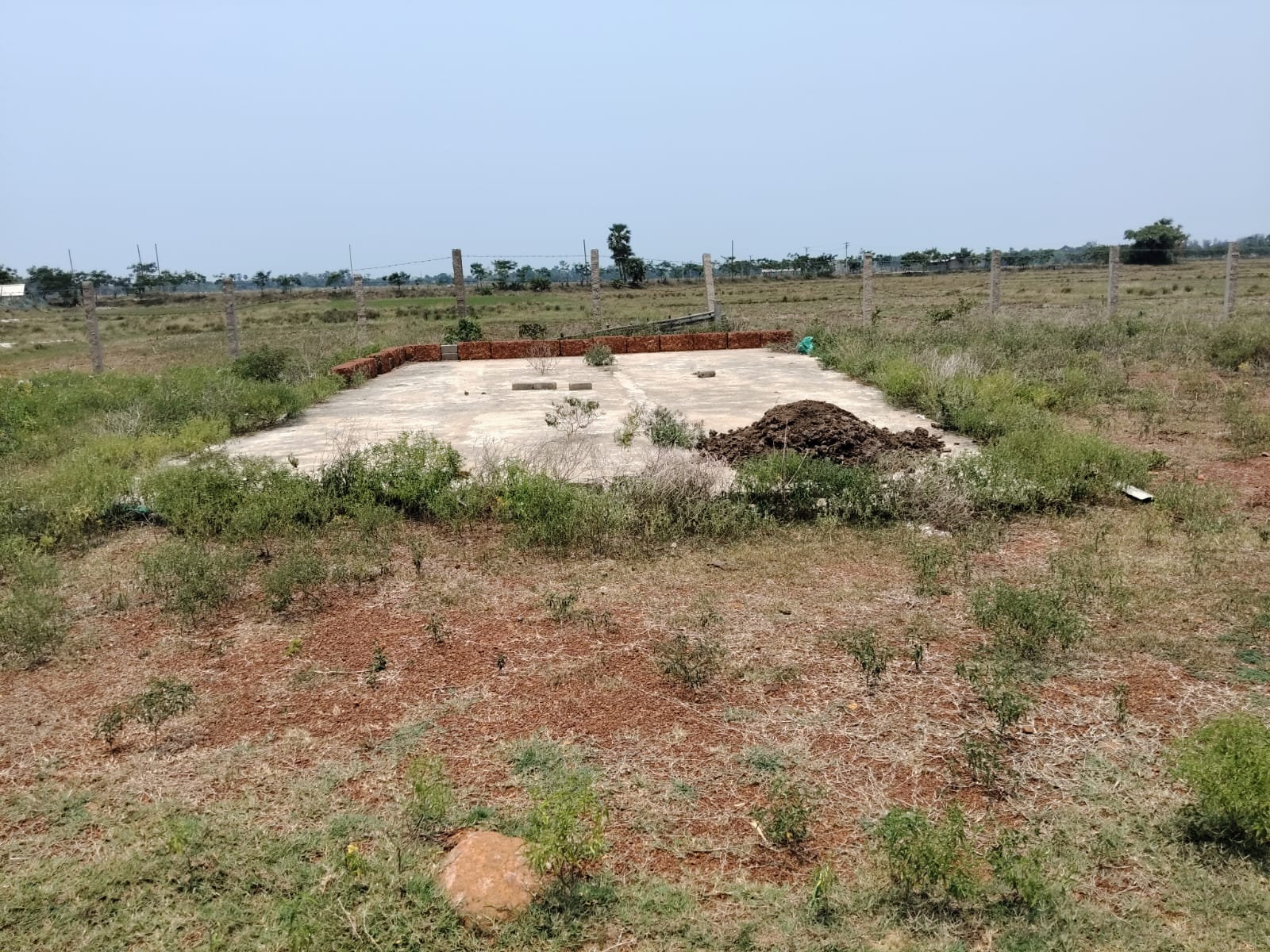 Shed with Plant and Machinery for Sale in KRUSHNA PRASAD,PURI,ODISHA, Puri
