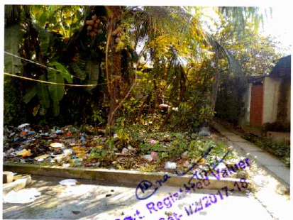 Plot for Sale in Rangia