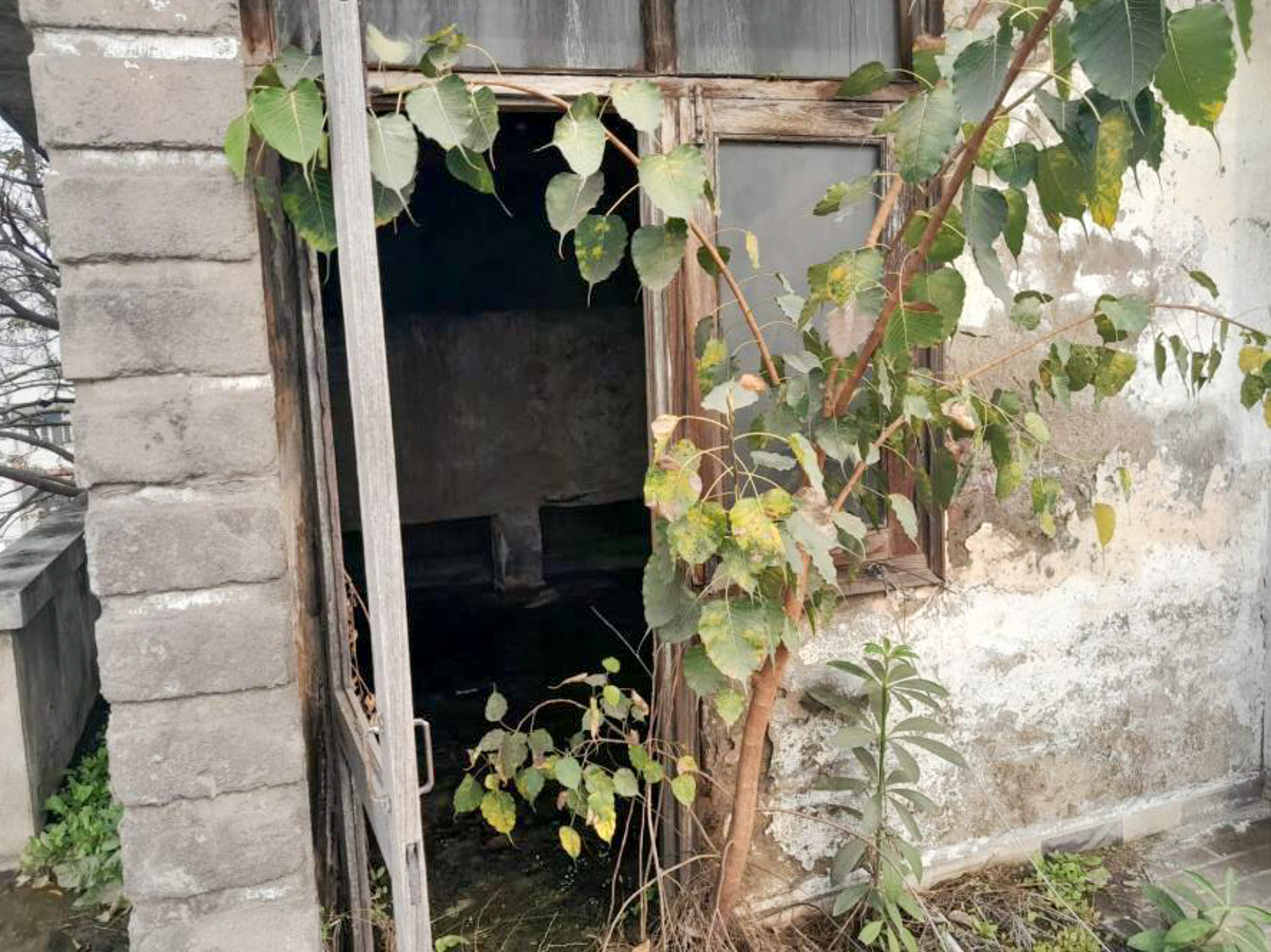 Individual House for Sale in FOCAL POINT, URBAN ESTATE, DHANDARI KALAN, Ludhiana