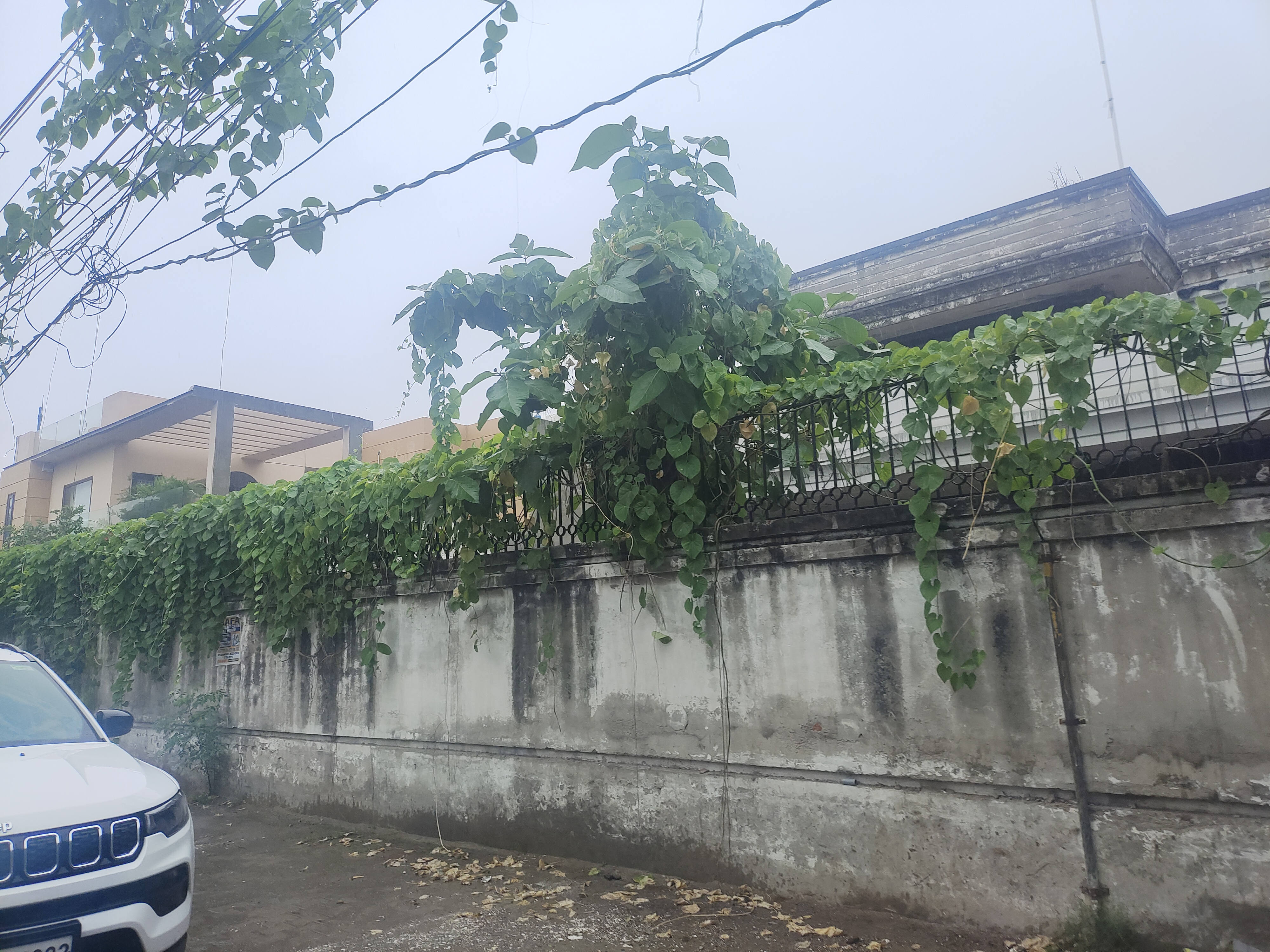 Plot for Sale in FOCAL POINT, URBAN ESTATE, DHANDARI KALAN, Ludhiana