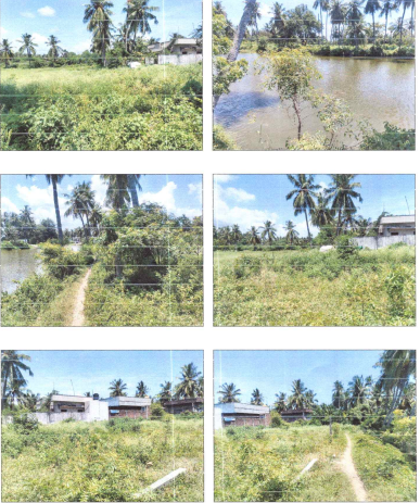 VACANT SITE for Sale in Eluru
