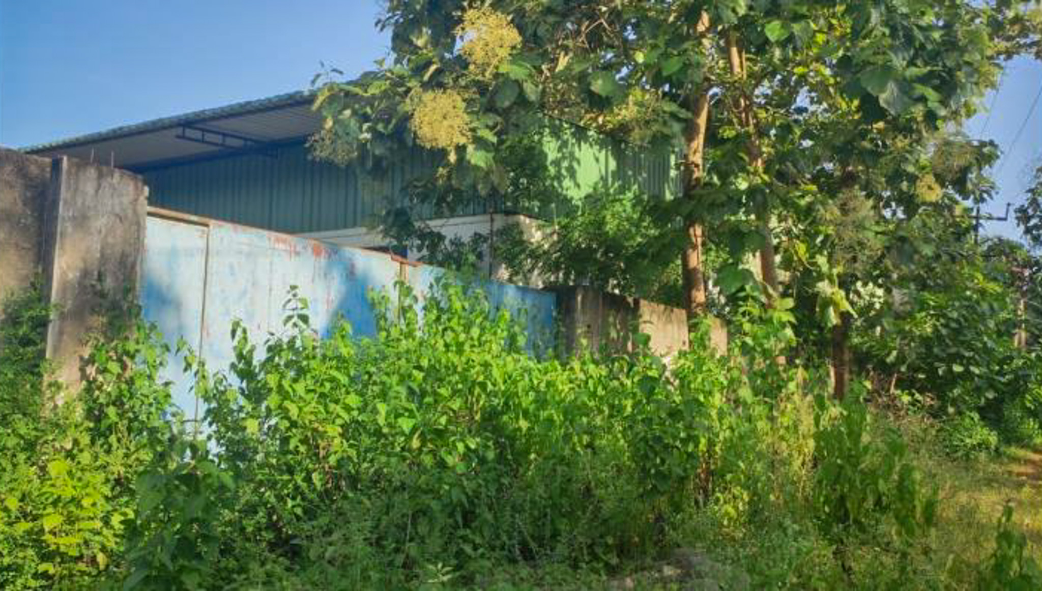 Industrial Plot with Factory Building for Sale in Chebrolu
