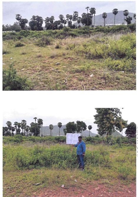 Plot for Sale in Pisinikada Village, Anakapalle Mandal, Visakhapatnam, Anakapalle