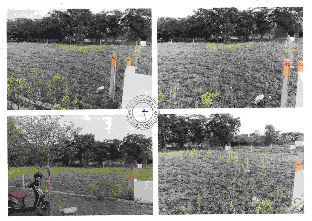 Plot for Sale in Visakhapatnam