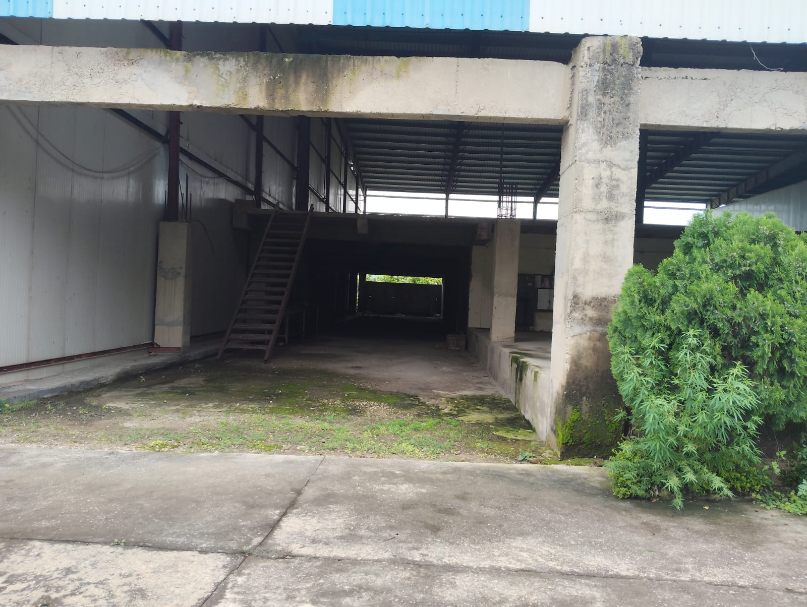 Other for Sale in VILLAGE MAUJA NANGAL KHURD, HAROLI, Santokhgarh
