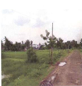 Plot for Sale in Denduluru