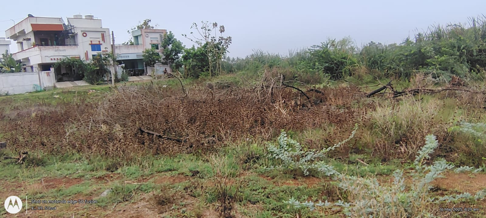 Plot for Sale in Duggirala Village and Gram Panchayat, Pedavegi Mandal, Tadepalle