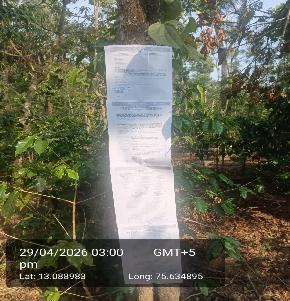 PLANTATION/COFFEE for Sale in Machagondanahalli Village, Koppa