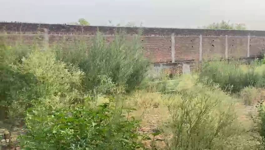 Godowns for sale in Nawanshahar Nawanshahr