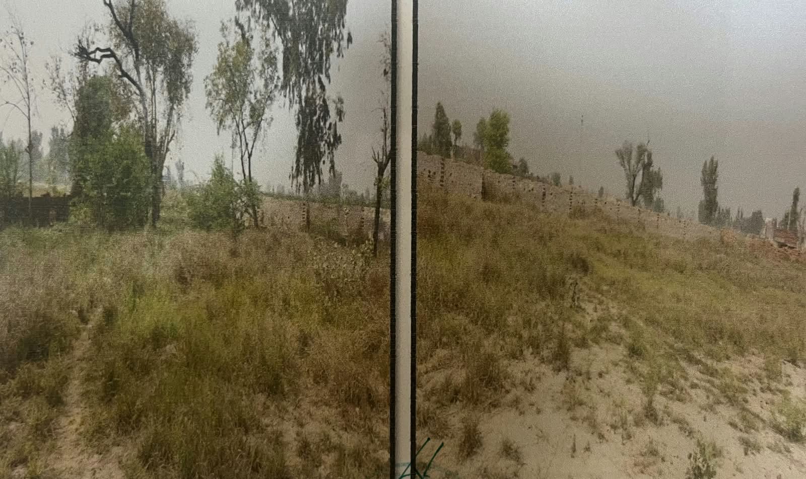 155 square yard Plot for sale in Guruharsahai, Distt Ferozpur Ferozepur