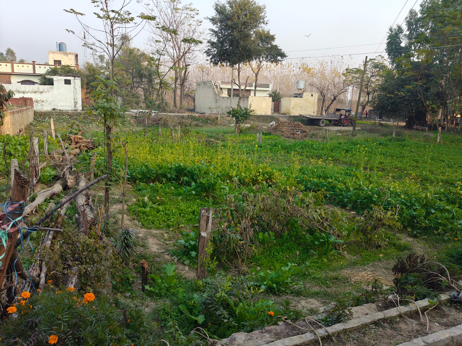 2070 square feet Plot for sale in VPO BODAL TEHSIL DASUYA DISTT. HOSHIARPUR. Dasuya