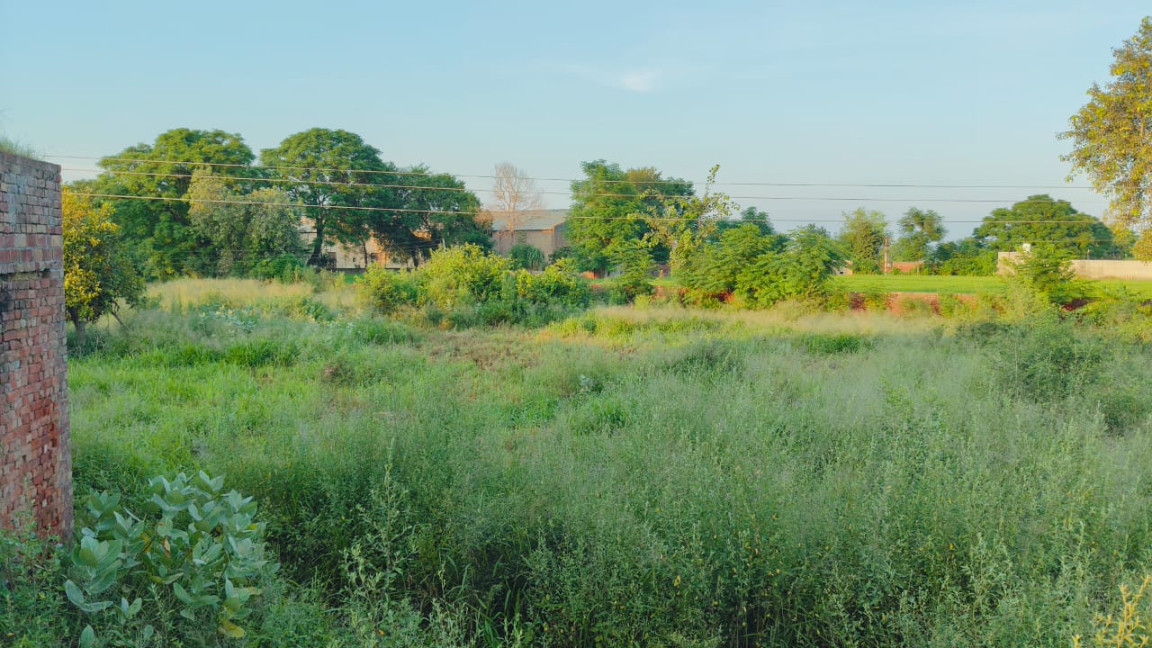 Shops for sale in Sangrur