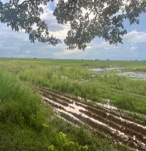 Plot for Sale in JAJANGA KENDRAPARA, Kendrapara