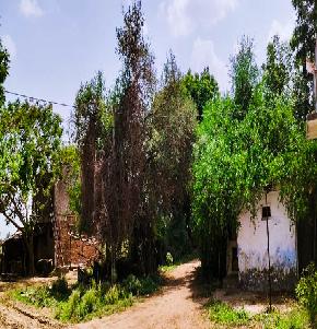 Industrial Shed for Sale in Harij Patan, Harij