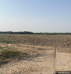 Plot for Sale in Harij Patan, Harij