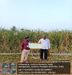 Plot for Sale in Samalkot