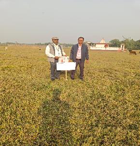 Plot for Sale in Bhimram