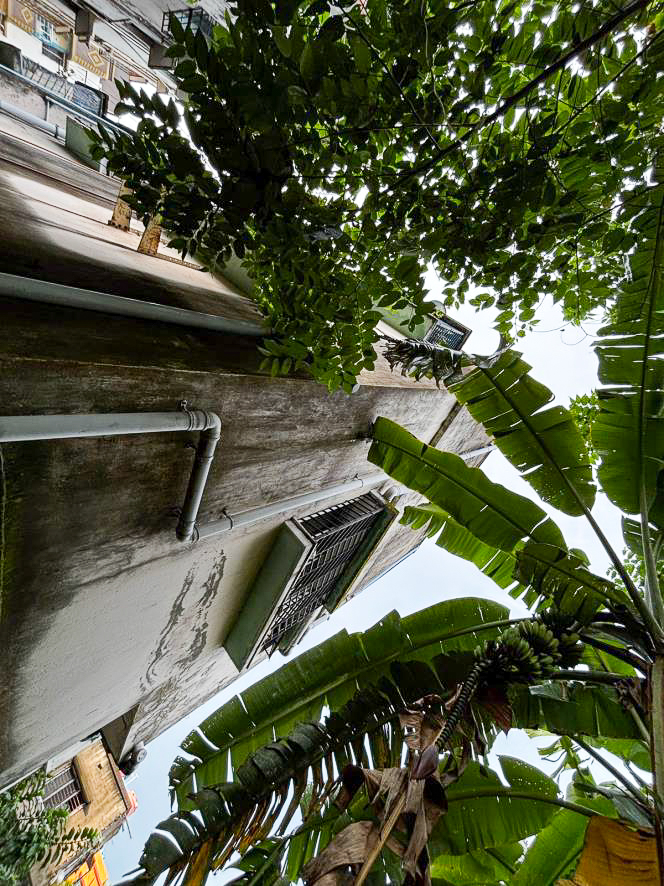 2 BHK Flat for Sale in kailash ghosh road, Kolkata