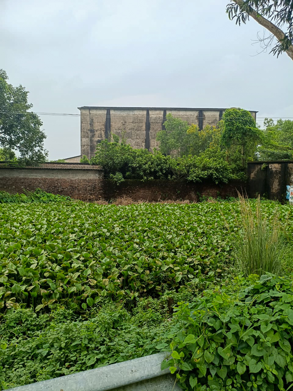 Godowns for Sale in MAGRAHAT, Bamna