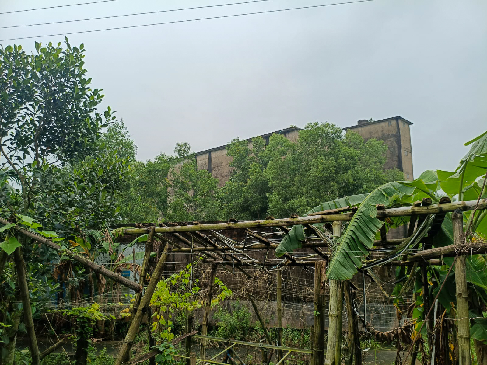 Godowns for Sale in MAGRAHAT, Bamna