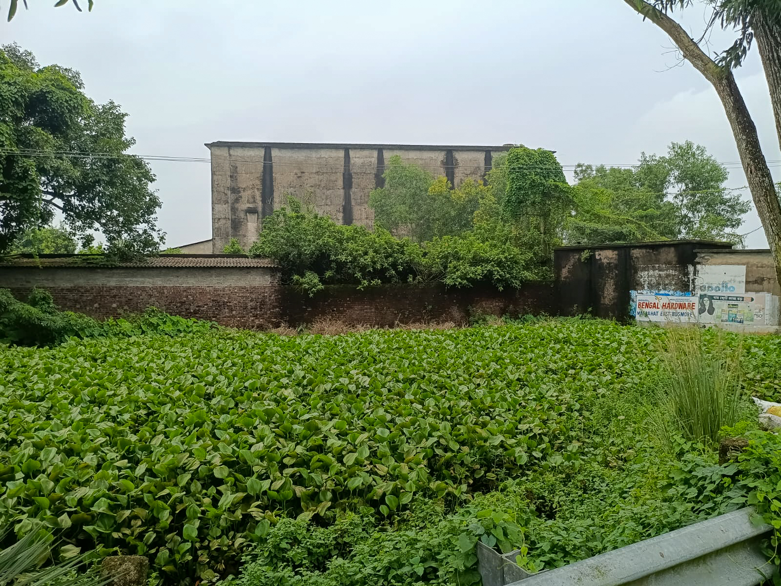 Godowns for Sale in MAGRAHAT, Bamna