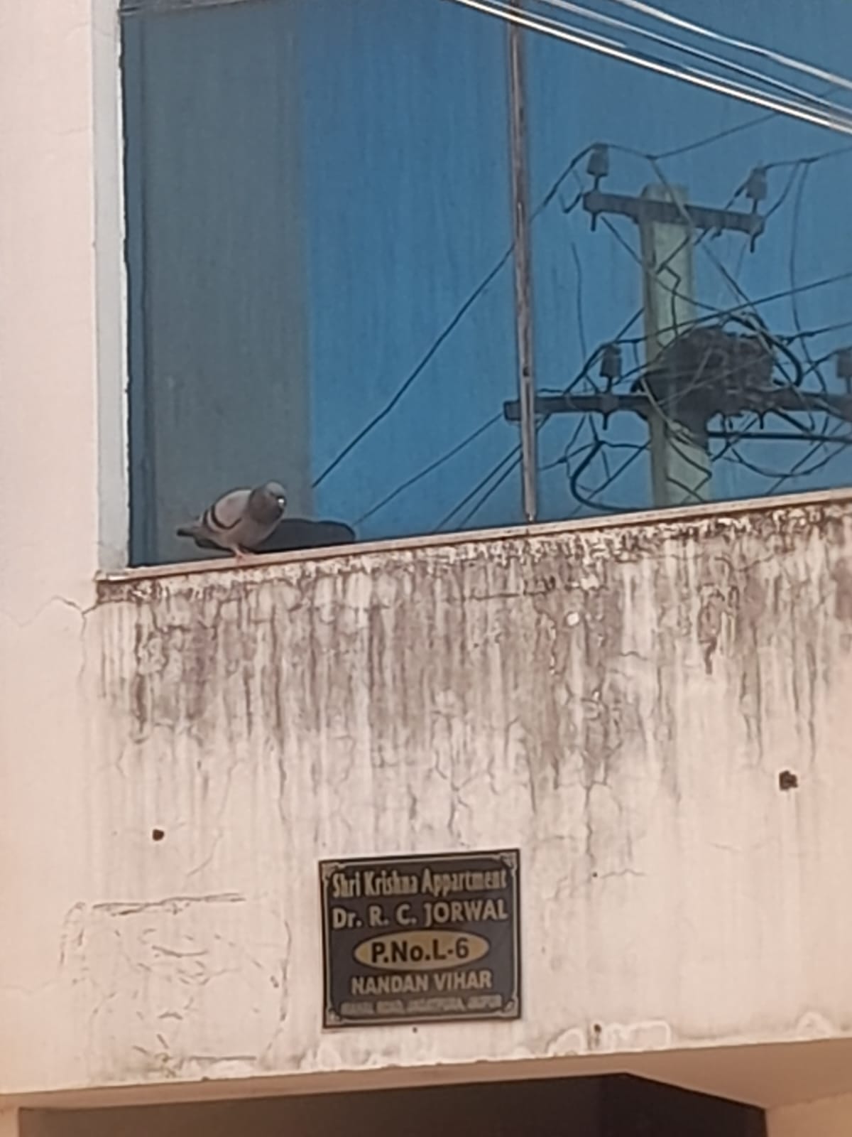 Flat For Sale in Jagatpura Jaipur