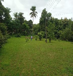 Plot for Sale in Mangaluru