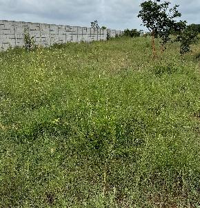 Plot for Sale in Mangaluru