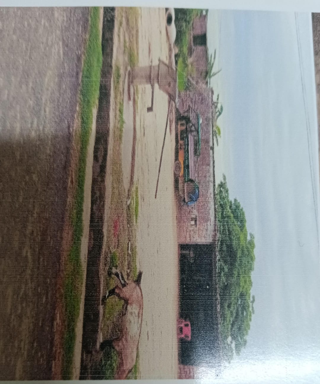 Plot for Sale in parsauni, Maharajganj